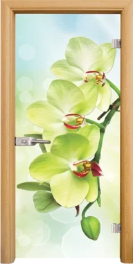 Стъклена врата Standart Print G 13-3 Green, Светъл дъб