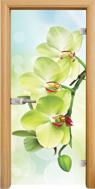 Стъклена врата Standart Print G 13-3 Green, Светъл дъб