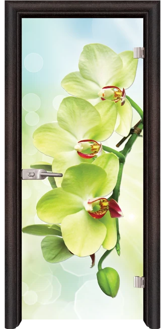 Стъклена врата Standart Print G 13-3 Green, Венге
