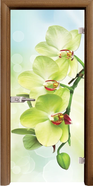 Стъклена врата Standart Print G 13-3 Green, Златен дъб