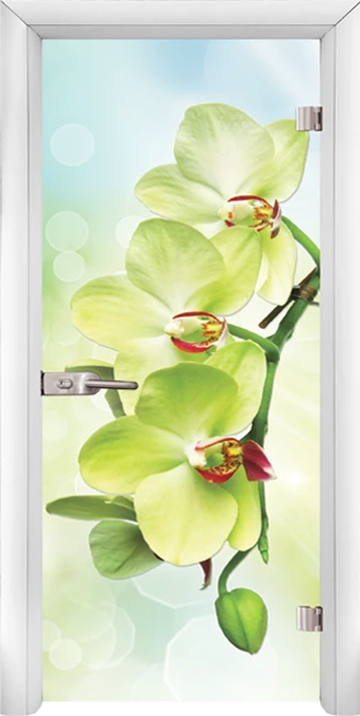 Стъклена врата Standart Print G 13-3 Green, Бяла
